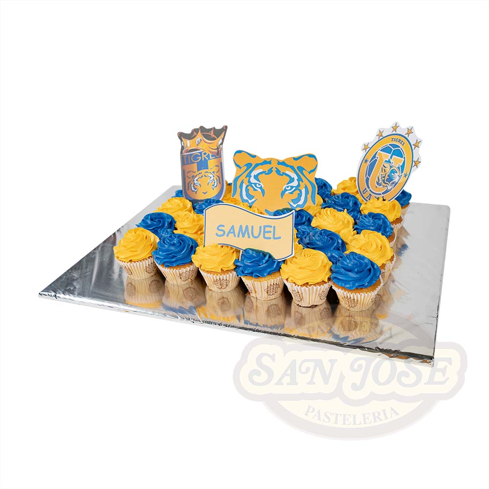 Happy Cake Tigres