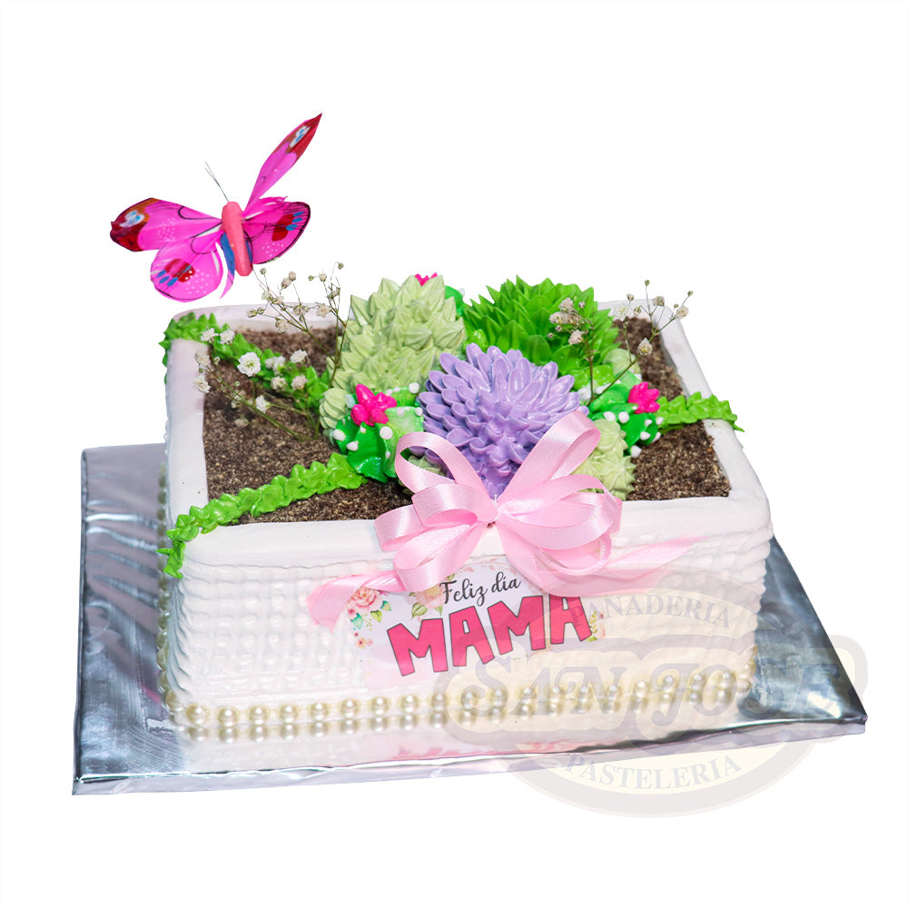 MINI PLANCHA SUCULENTAS MAMI