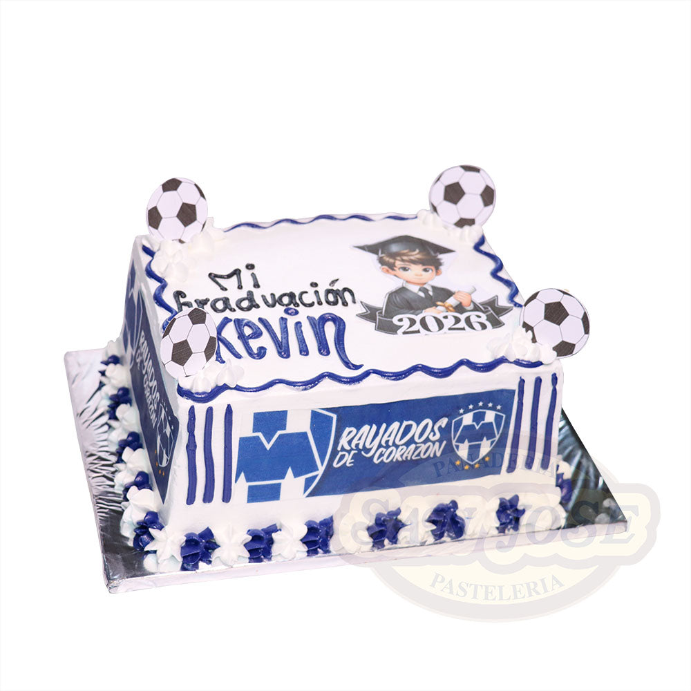 MINI PLANCHA GRADUACIÓN RAYADOS