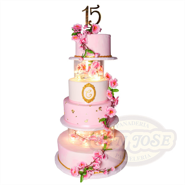 Bodas y XV Años