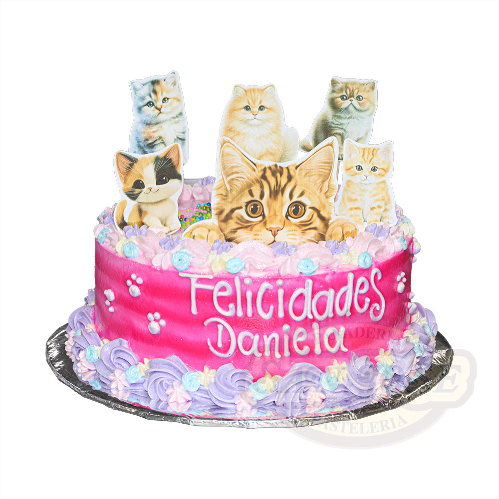 DETALLE GATITOS TERNURA