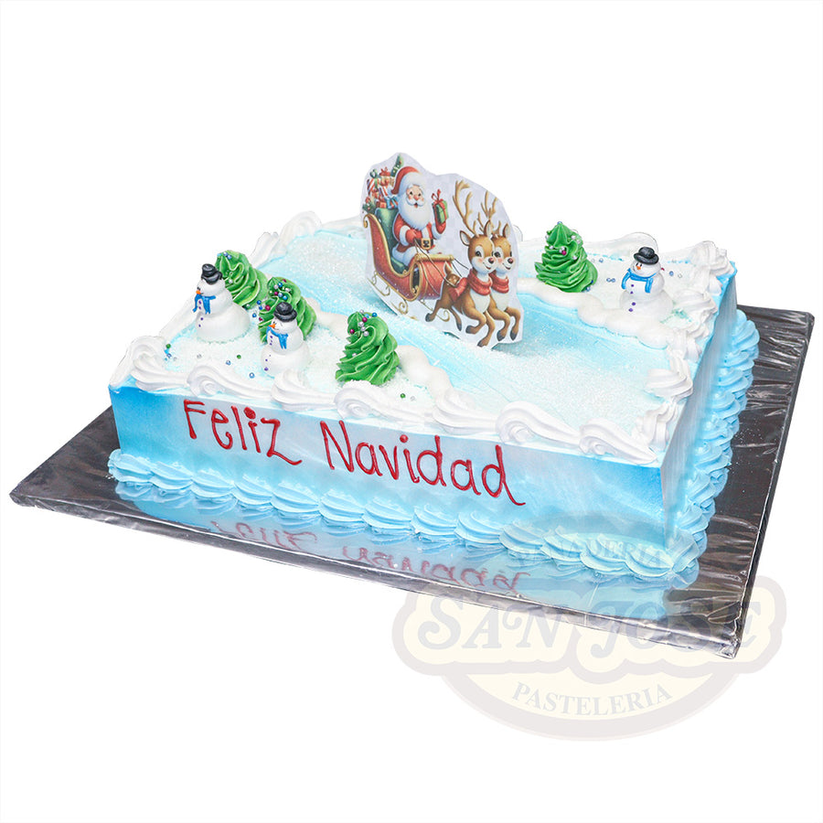 FIESTA NAVIDAD