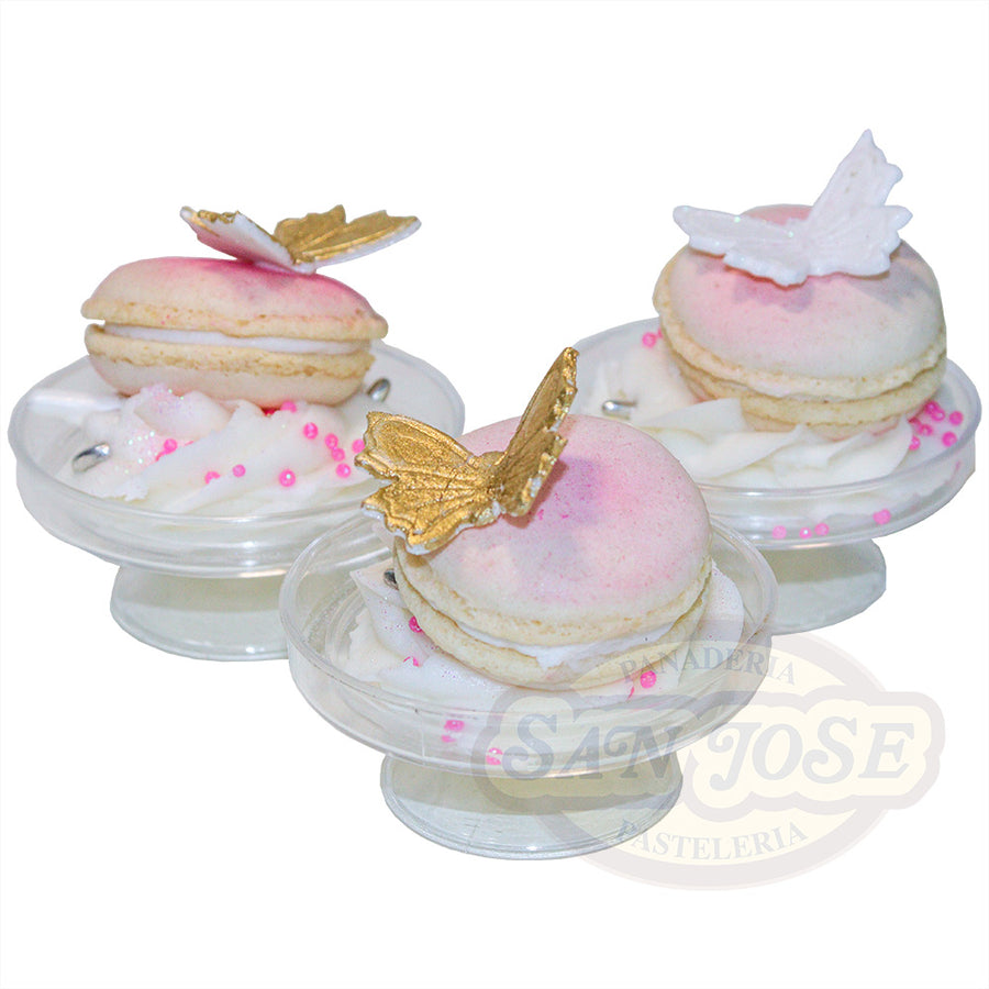 GALLETA CON MACARONS