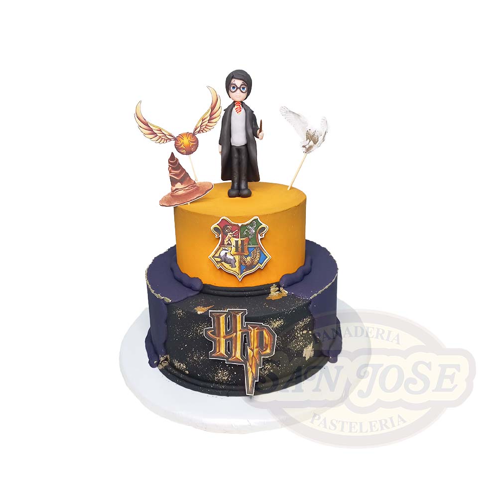 Harry Potter Figurita