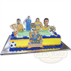 FIESTA TIGRES CAMPEON