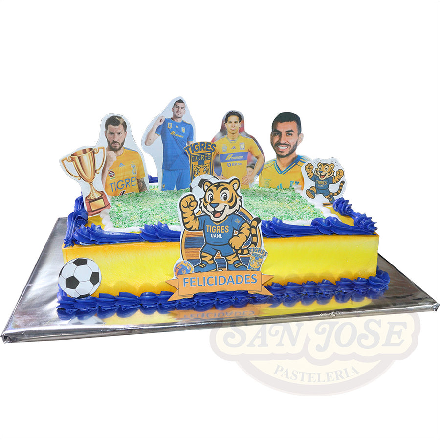FIESTA TIGRES CAMPEON