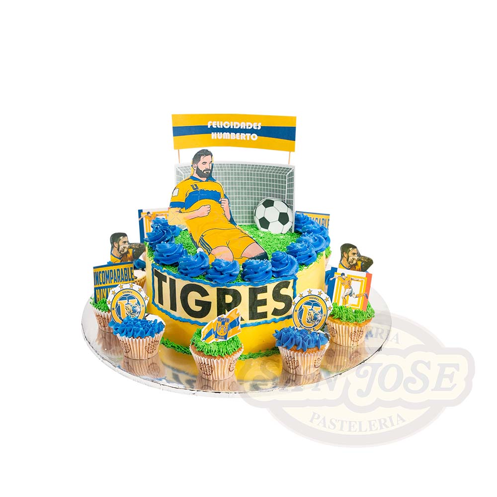 Kekis Tigres Cancha