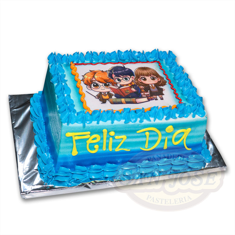 Mini Plancha Harry Potter