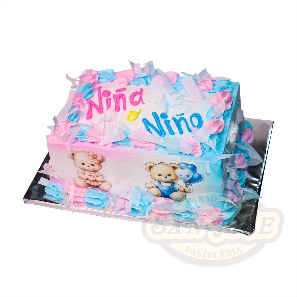 MINI PLANCHA REVELACIÓN