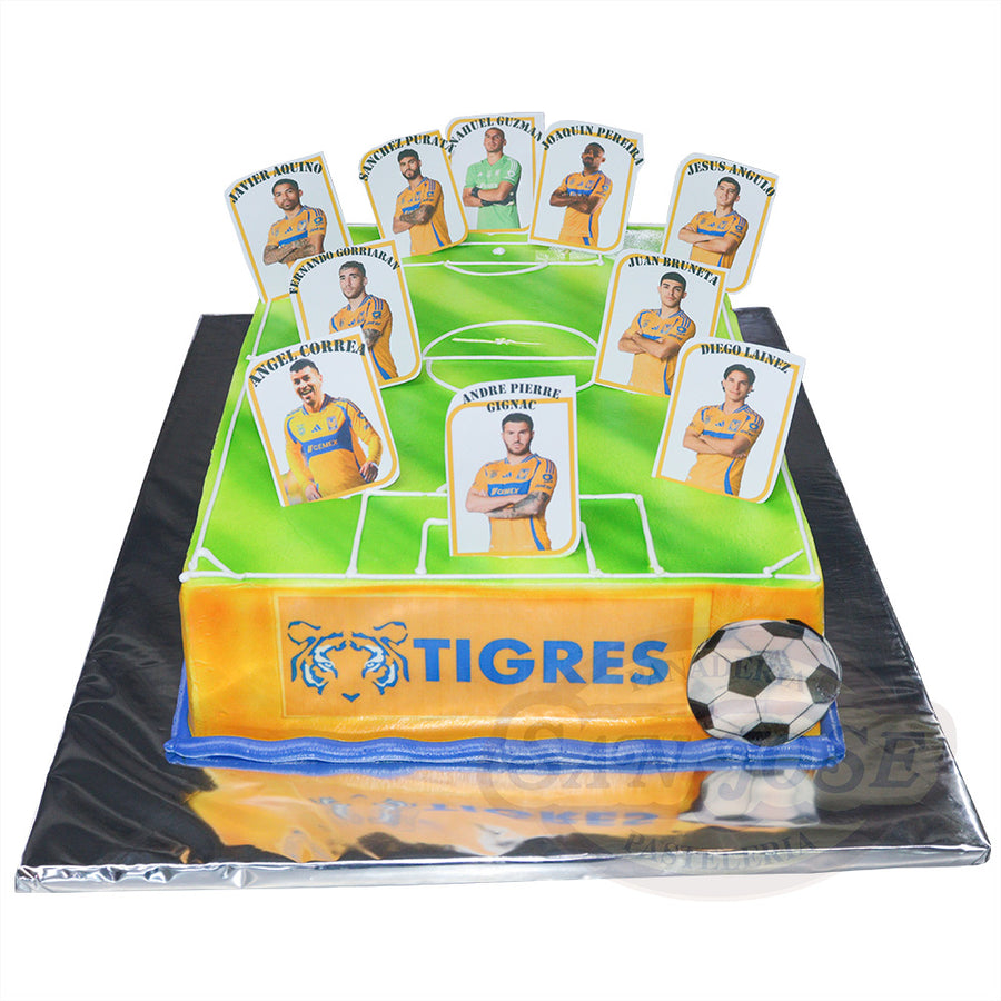 FIESTA TIGRES ALINEACION