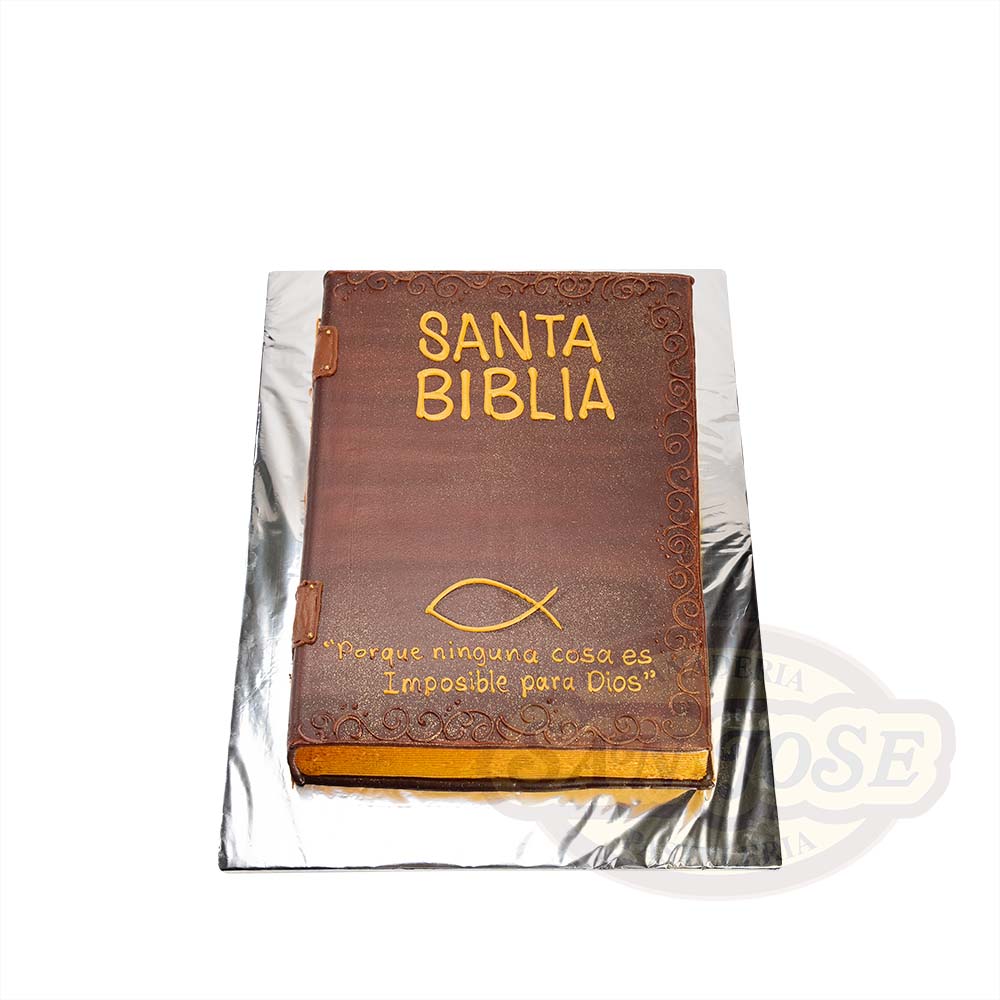 Santa Biblia