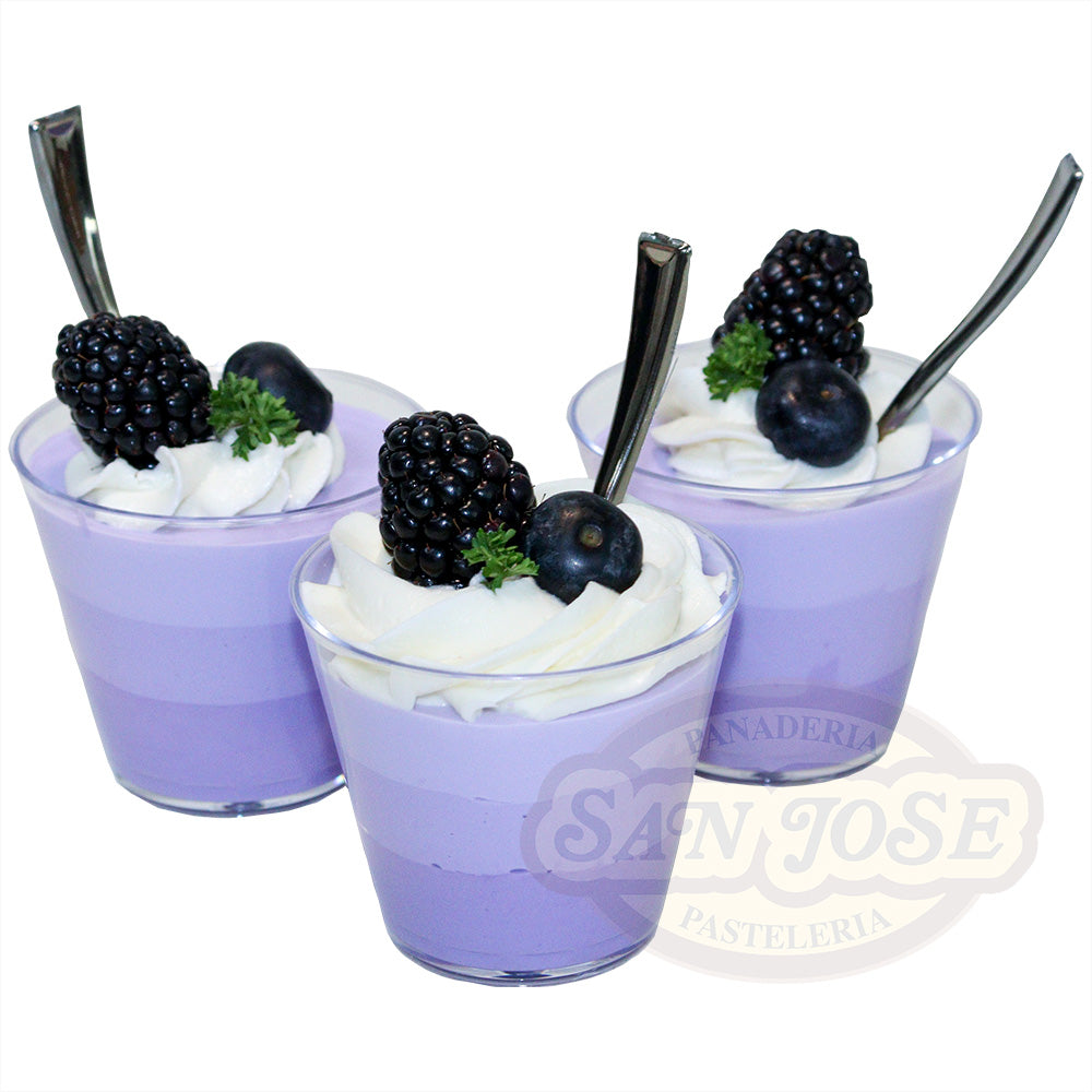 VASO ZARZAMORA