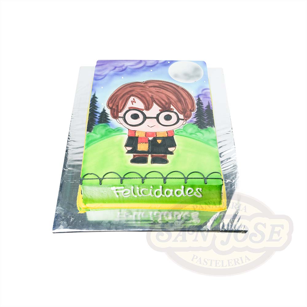 Harry Potter