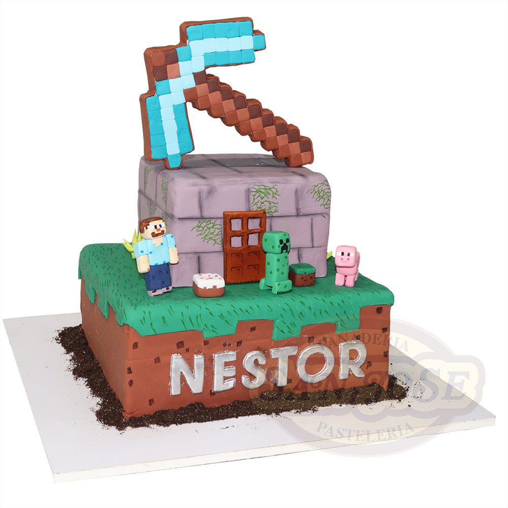 MINECRAFT FD