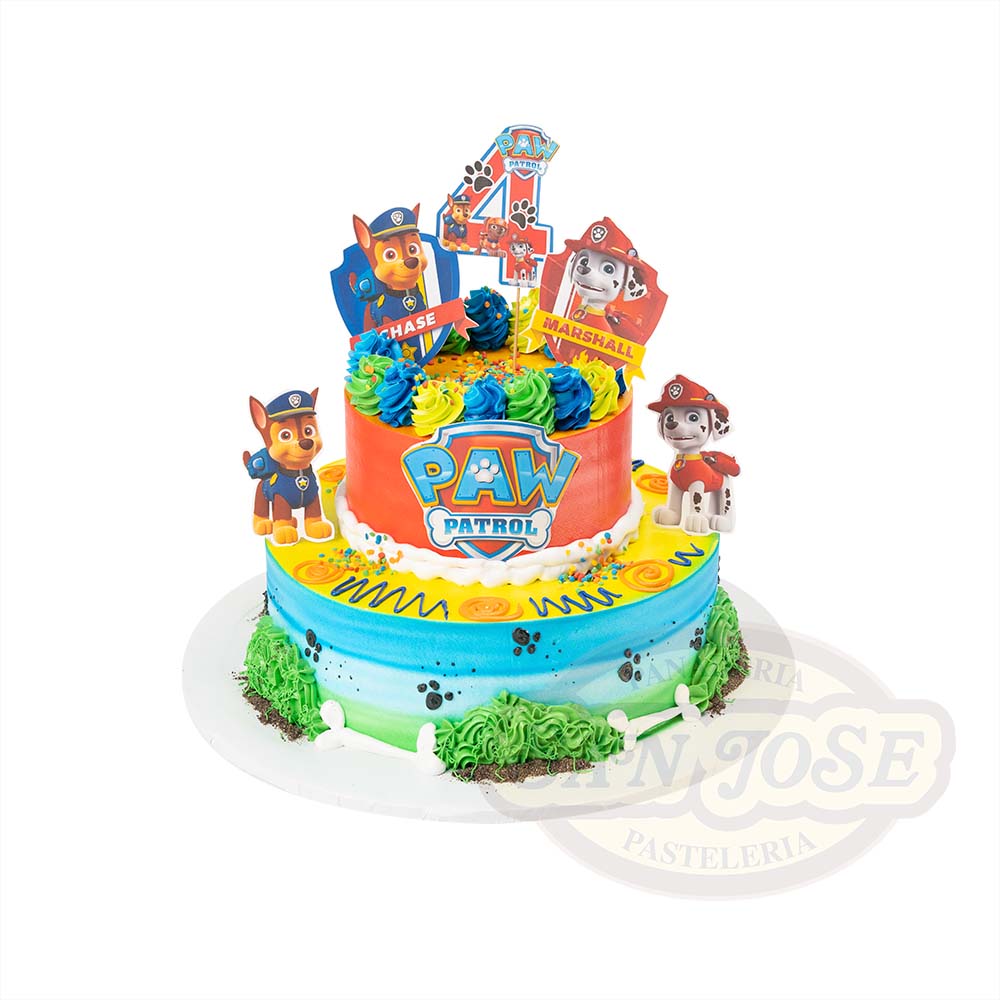 Paw Patrol Diversión