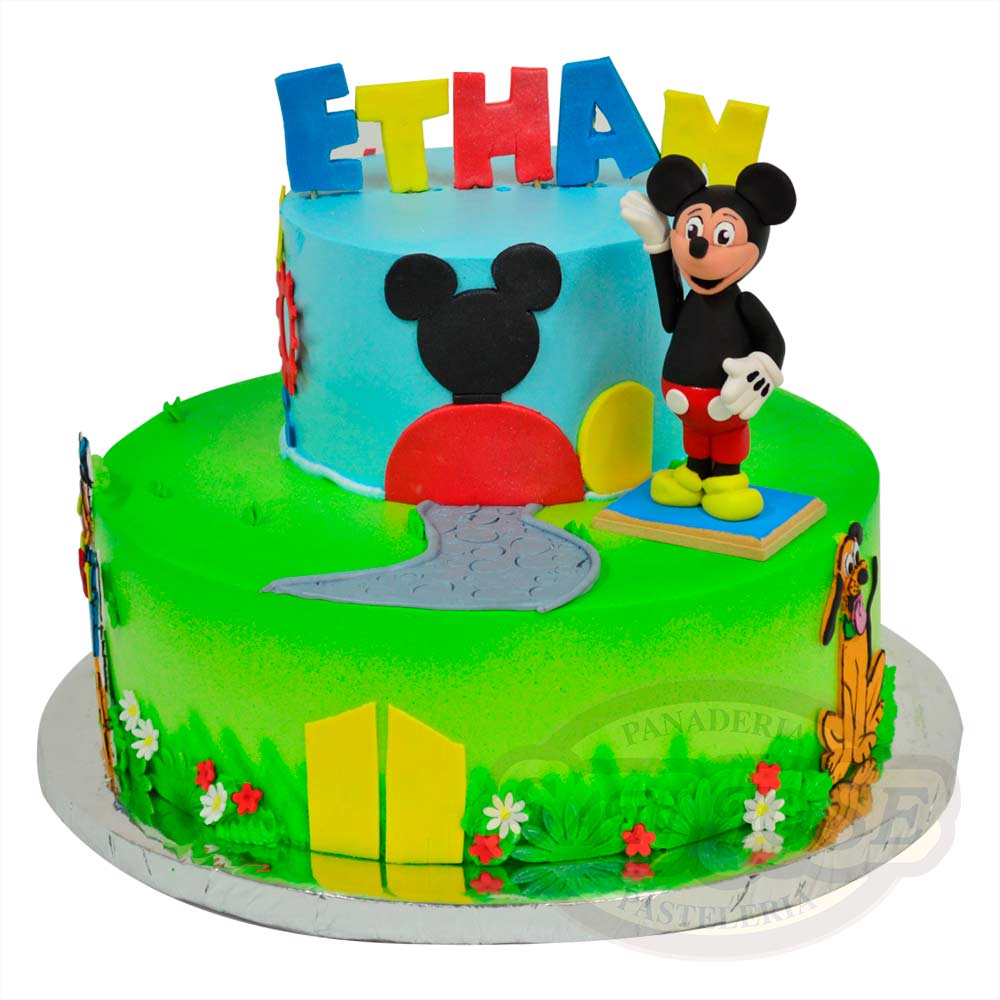 Mickey Mouse House