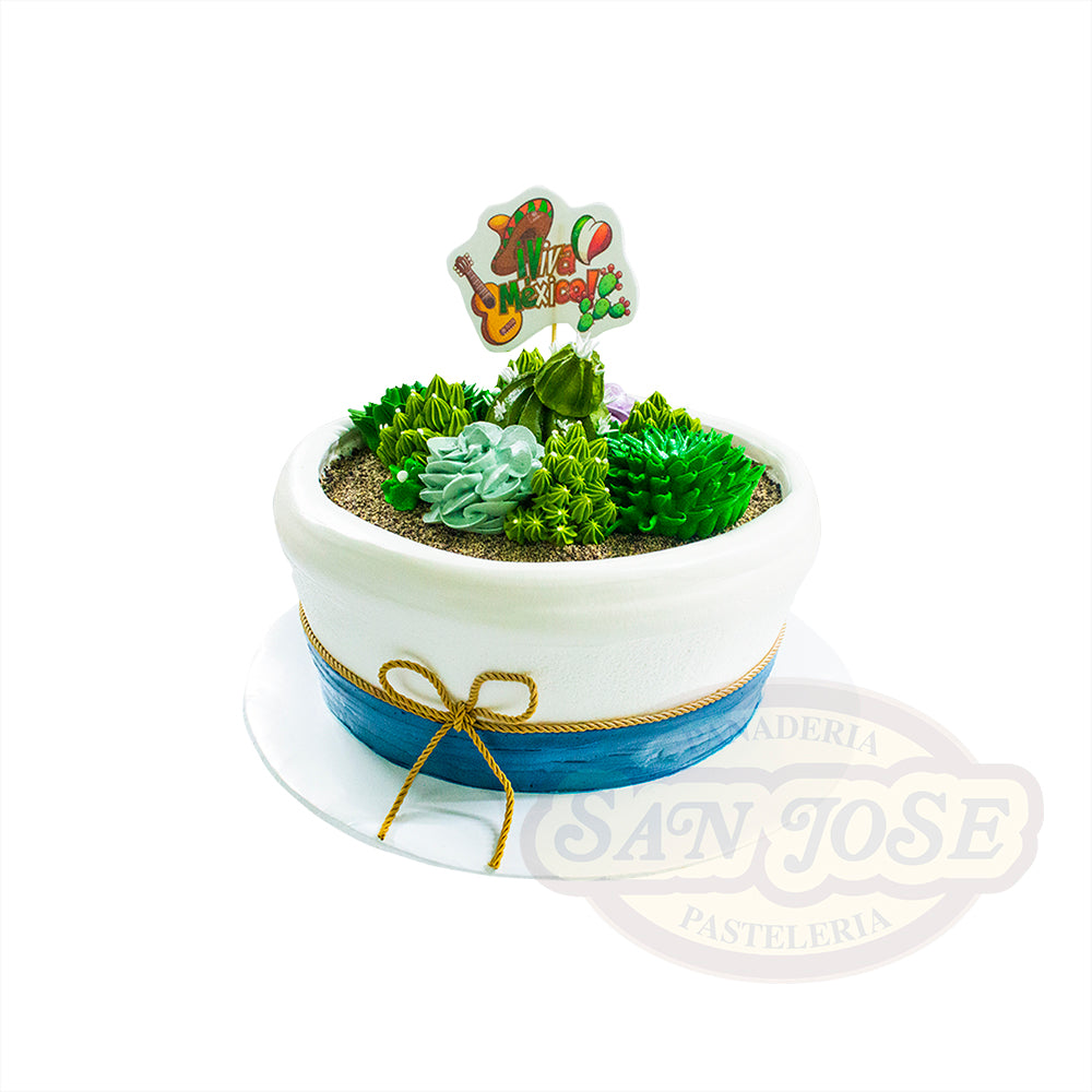 Detalle Cactus