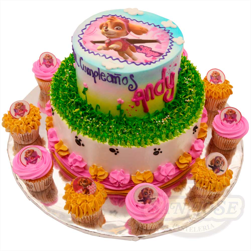 Skye Paw Patrol Kekis - Main Image